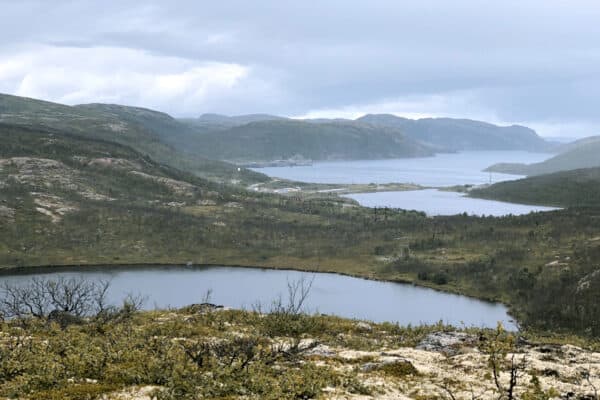 Окрестности озера Солтаярви между Видяево и Ара-Губой, август 2020 года