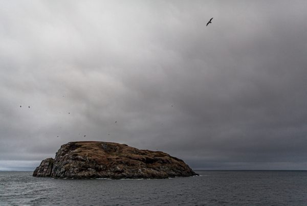 Островок на входе в Ара-Губу, сентябрь 2014 года (фотограф Владимир Букаев)