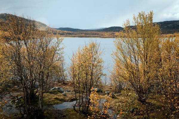 Озеро Питьевое в окрестностях Видяево
