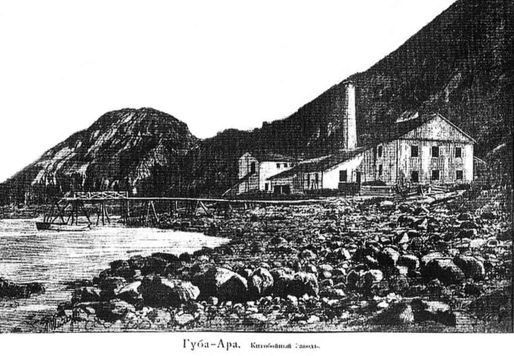 Китобойный завод в Ара-Губе, конец XIX века