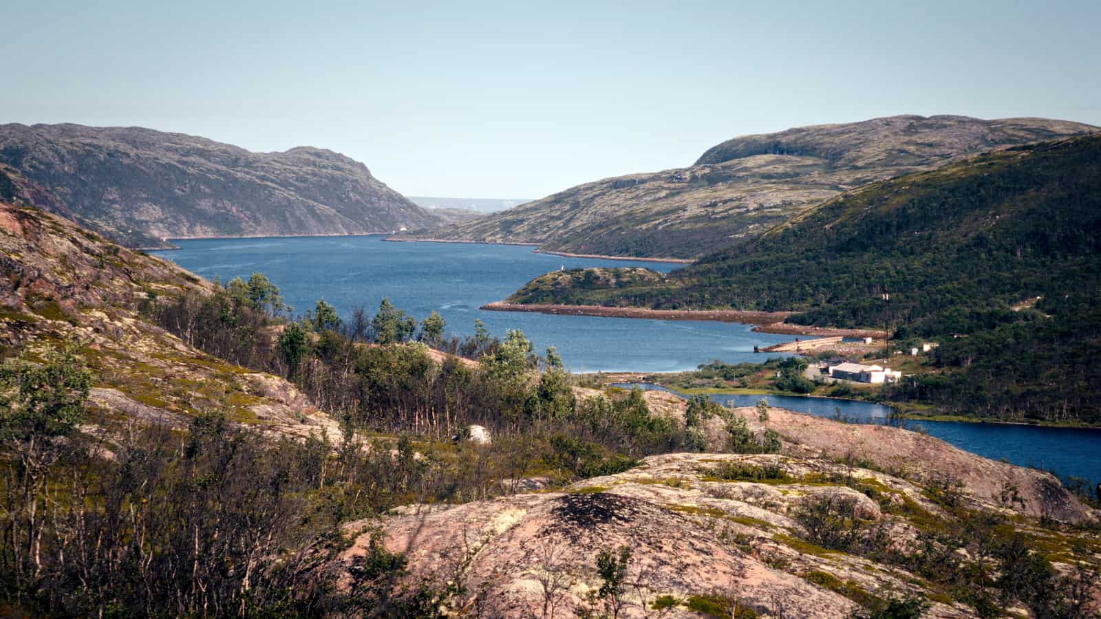 В окрестностях Ара-Губы, август 2020 года